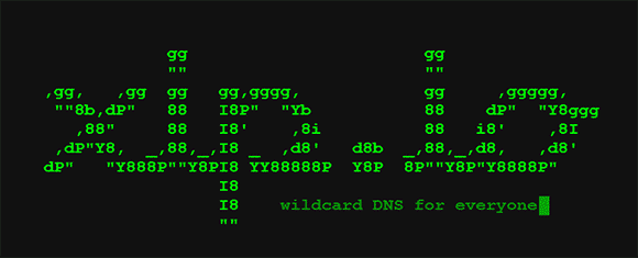 Xip.io: DNS-сервер в помощь веб-разработчикам