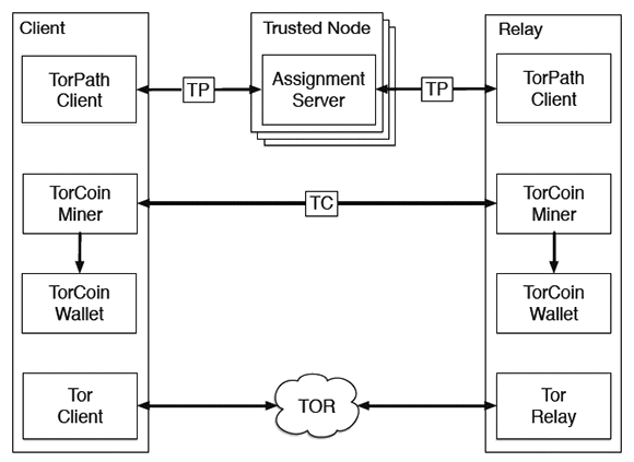 Криптовалюта TorCoin для тех, кто делится каналом